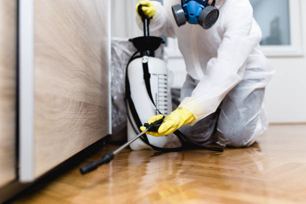 Best Emergency Pest Control  in Crittenden, KY