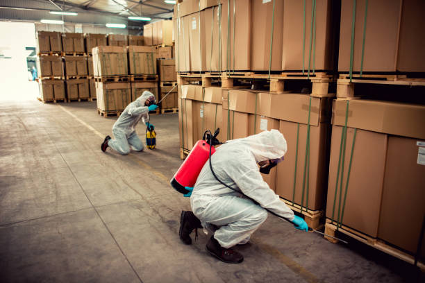 Best Cockroach Control Services  in Crittenden, KY