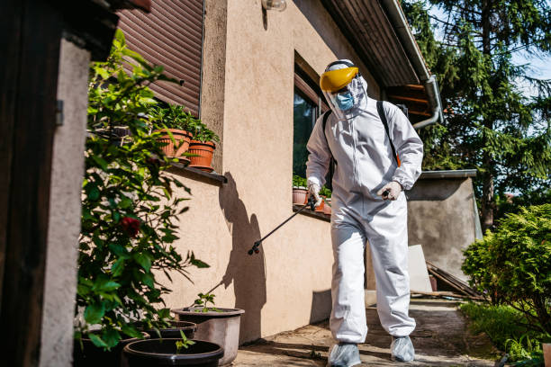 Best Local Pest Control Services  in Crittenden, KY
