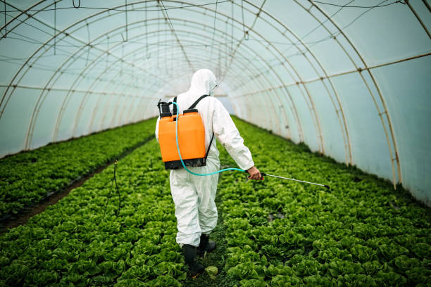 Best Affordable Pest Control Services  in Crittenden, KY