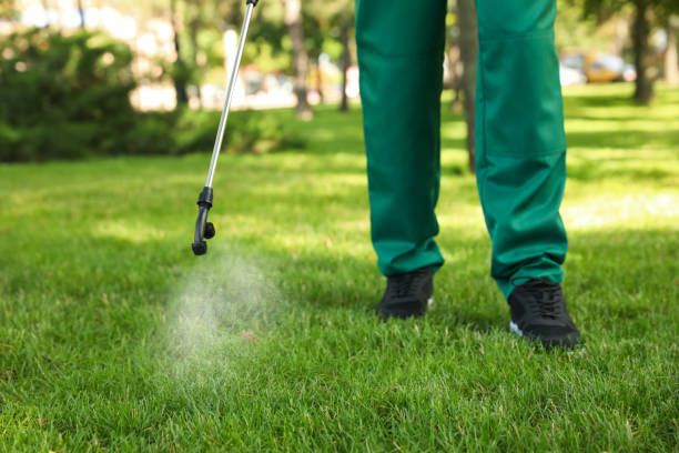 Best Mosquito Control Services  in Crittenden, KY